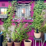 exemple jardinage, aménagement, activité à domicile