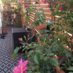 activité à domicile - jardinage - fleurir un balcon